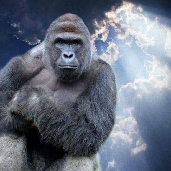 Meet your Posher, Willie - Picture 1 of 1